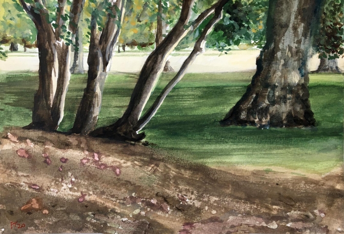 Early Morning Light. 10"x12” (25x31cm) Watercolour/Paper - £200
