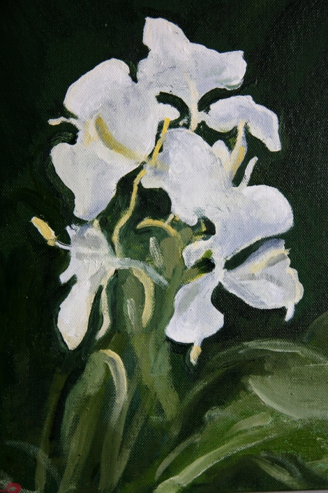 Cuban Lilies 1 12"x10” (31x25cm) Oil/board - £200