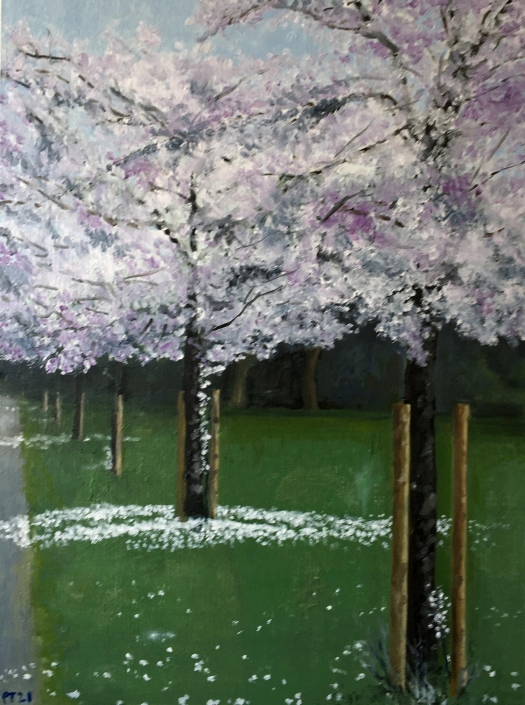 Spring Cherry 30"x20” (76x51cm) Oil/board - £2000
