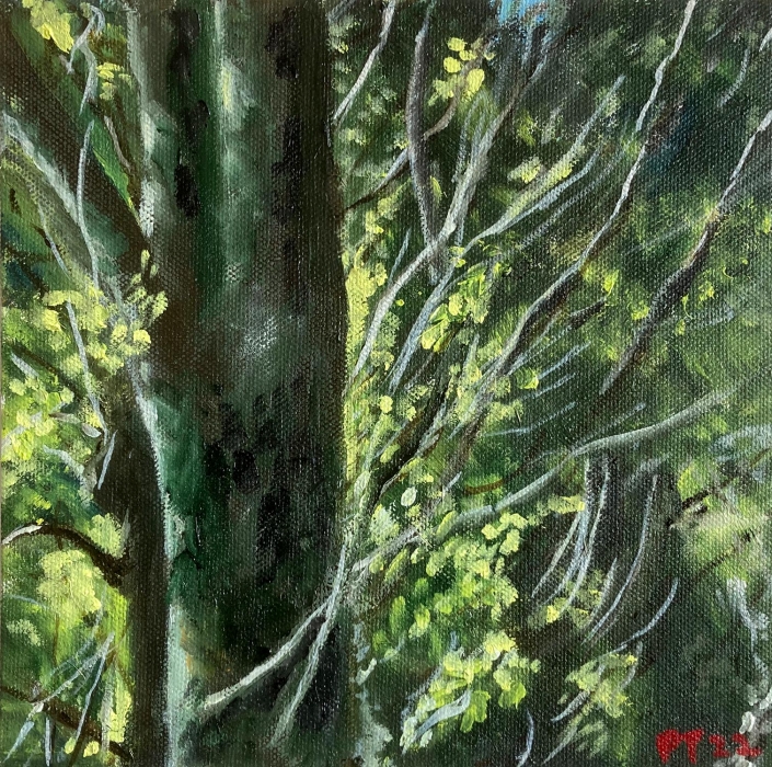 Ballyrafter Trees. 10"x10” Oil on board - £300