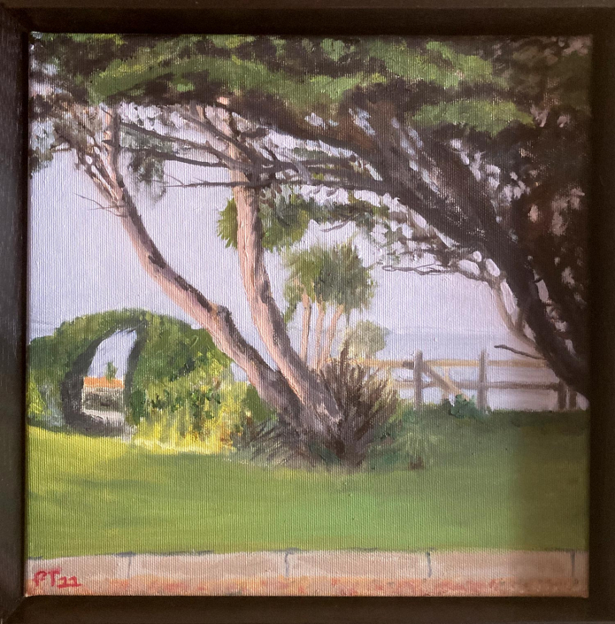 Clifford House garden, Rosslare. 12”x12” Oil on board - In Private Collection, Ireland.