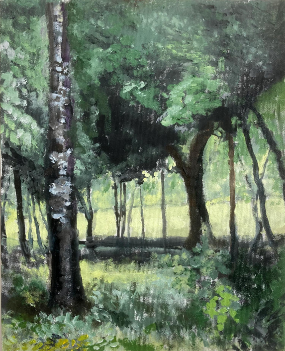 The Blackwater at Lismore. Oil on board 10"x12” - £450