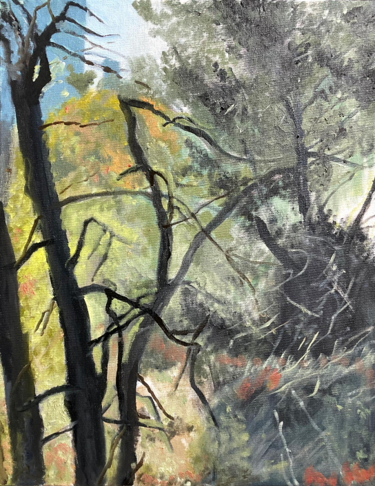Trees below Lismore Castle. 18"x14” Oil on board - £300