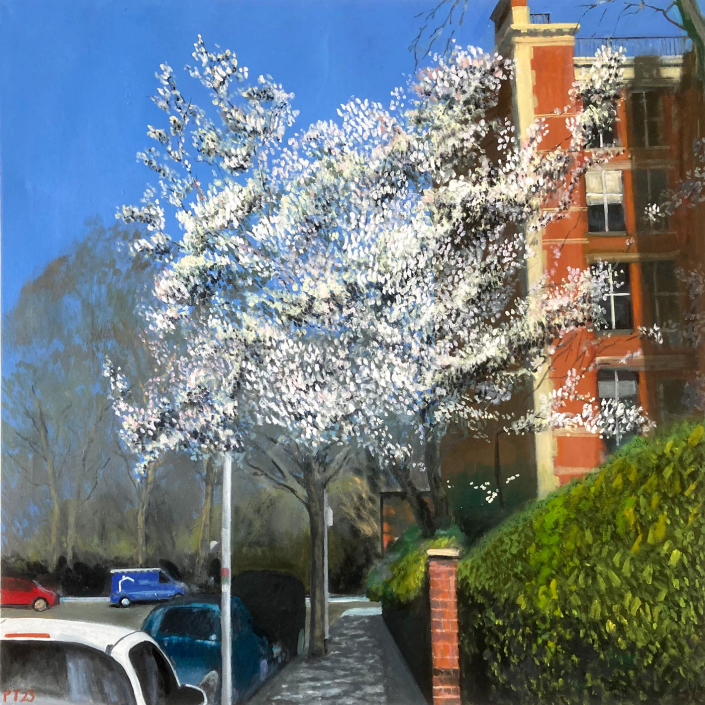 Battersea Magnolia. Oil on canvas 40”x 40” (102X102cm) - £2000