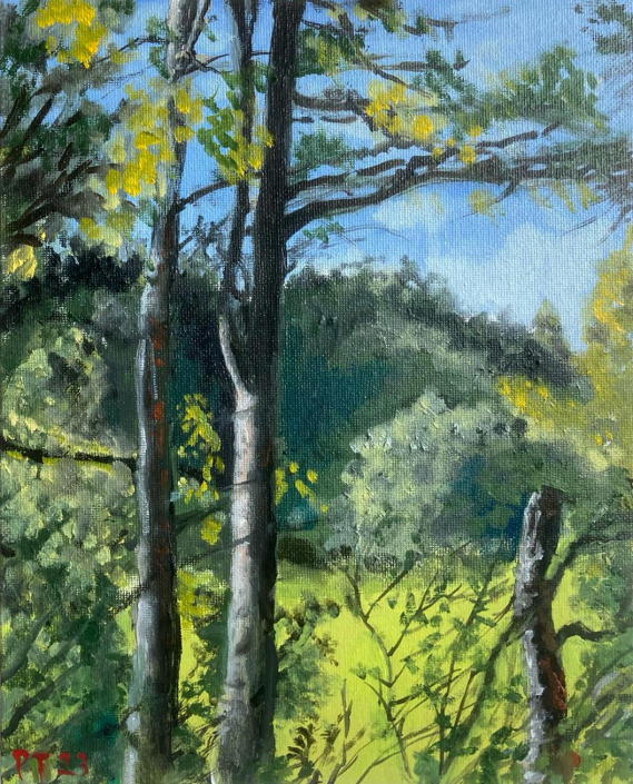 Ballyin Trees. 25x20cm Oil on board - £250