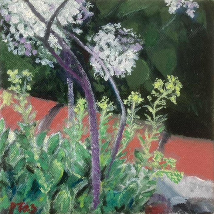 Hydrangeas, Patricia's Garden (Arcangues, France). 8"x8” Oil on canvas - (Private collection)