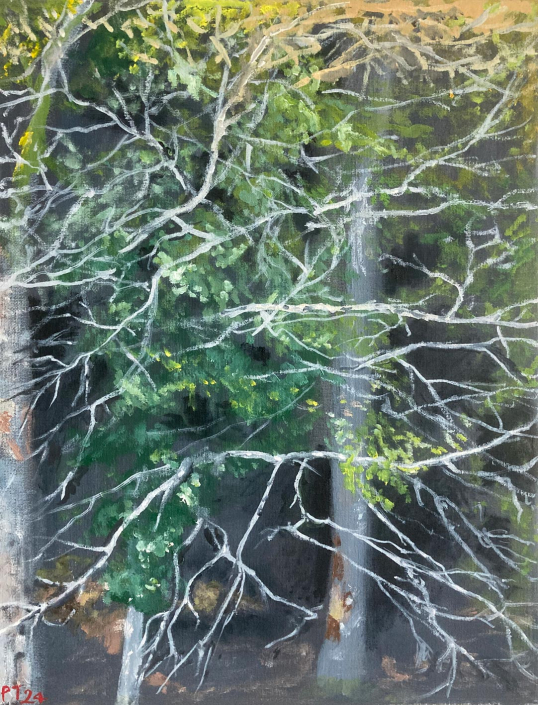 Trees near Ballyrafter. 16"x12” Oil on board - £400